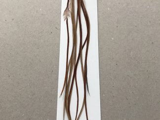 Brown Hackle Packs