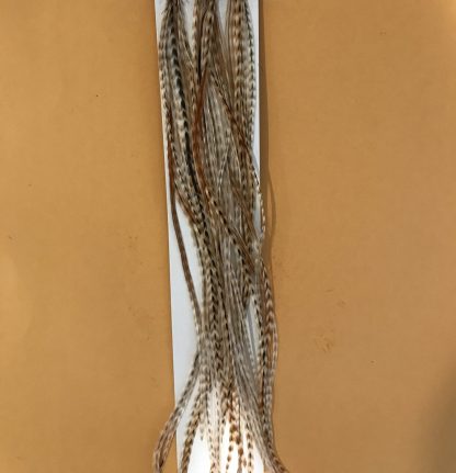 Medium Barred Ginger "100" Pack Multi Pack Sizes 10-14
