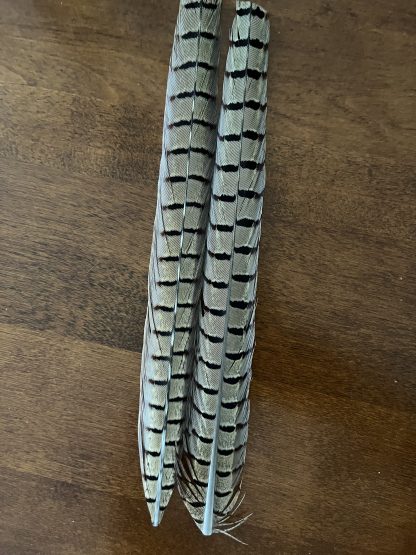 Pheasant Tails