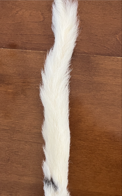 Calf Tail